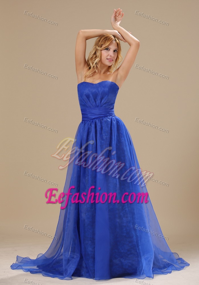 Simple Blue Strapless Plus Size Celebrity Inspired Dresses in Organza for Cheap
