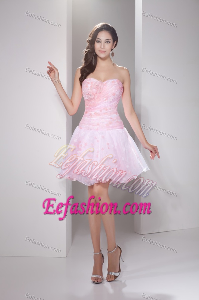 Princess Sweetheart Mini Celebrity Dresses in Baby Pink with Hand Flowers