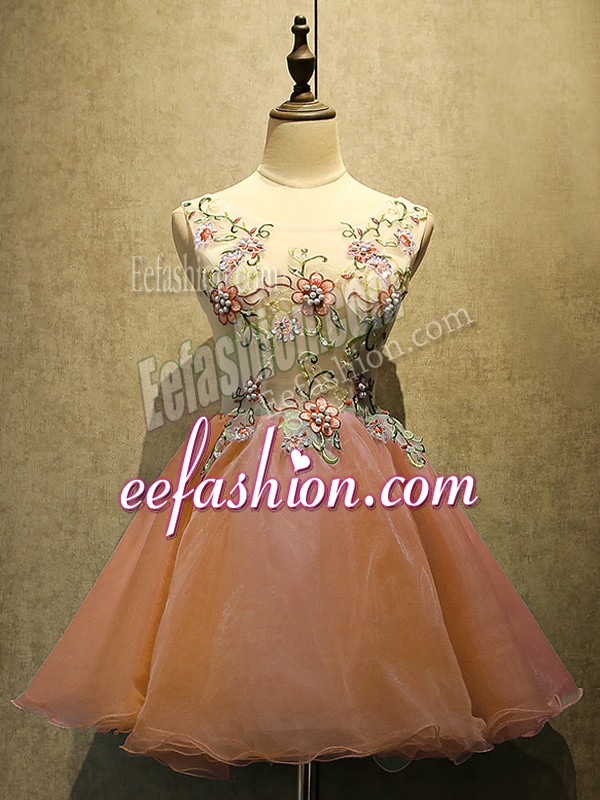  Organza Sleeveless Mini Length Homecoming Dress and Embroidery