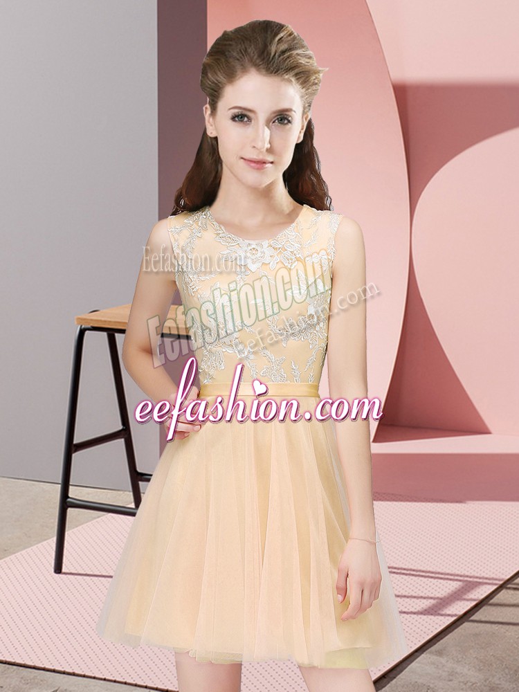  Champagne A-line Lace Bridesmaid Dresses Side Zipper Tulle Sleeveless Mini Length