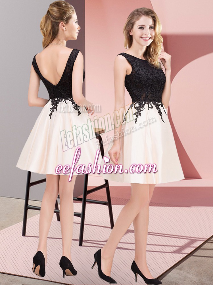 High Quality Champagne Scoop Zipper Lace Quinceanera Dama Dress Sleeveless