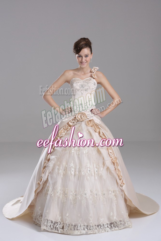 On Sale Sleeveless Brush Train Embroidery and Hand Made Flower Lace Up Quince Ball Gowns