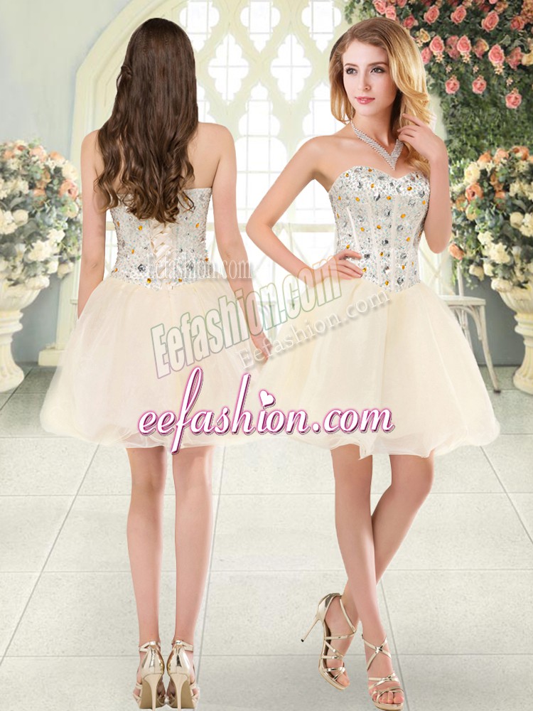  Sweetheart Sleeveless Lace Up Dress for Prom Champagne Tulle
