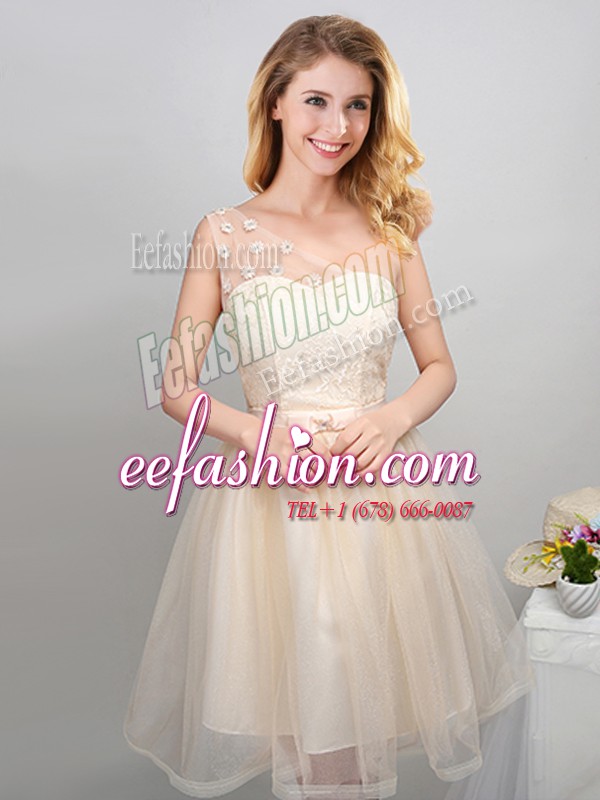 Super One Shoulder Champagne Sleeveless Tulle Lace Up Wedding Guest Dresses for Prom and Party and Wedding Party