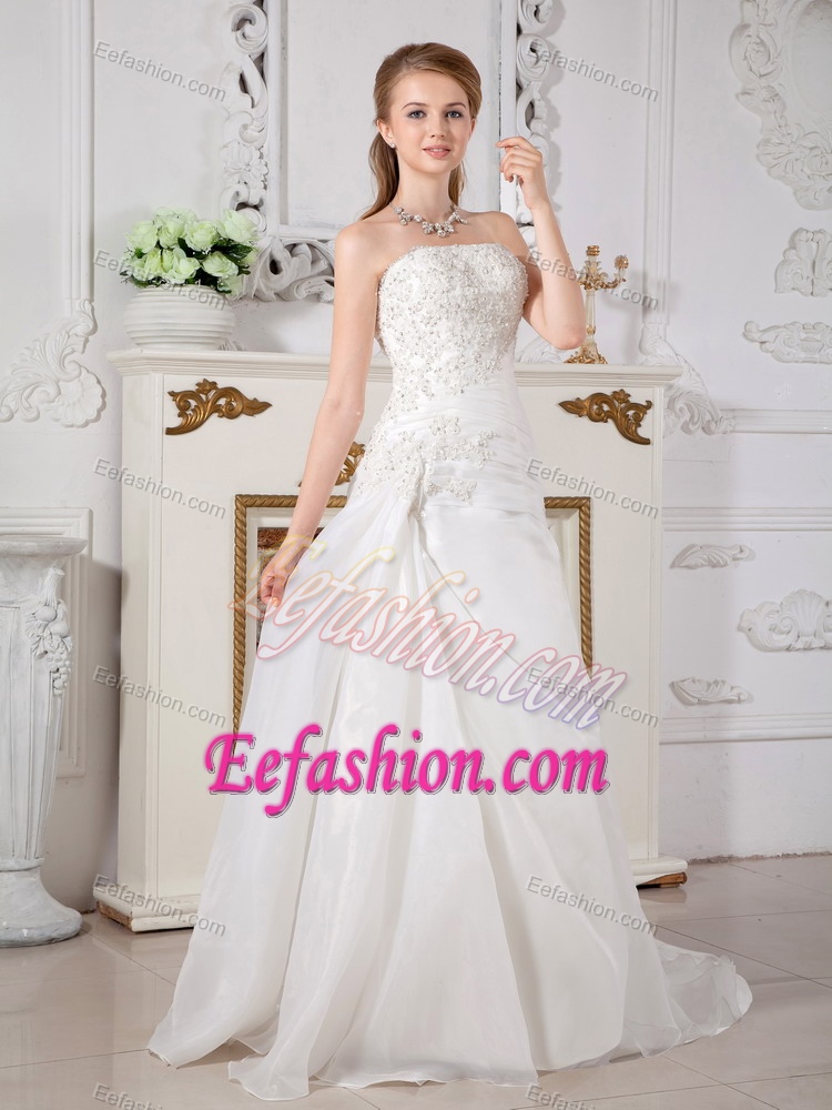 Strapless Brush Train Champagne Organza Wedding Dresses with Appliques