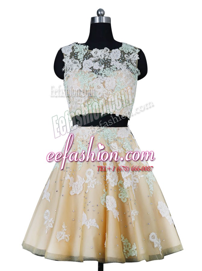  Scoop Champagne Sleeveless Beading and Appliques Knee Length Mother Of The Bride Dress
