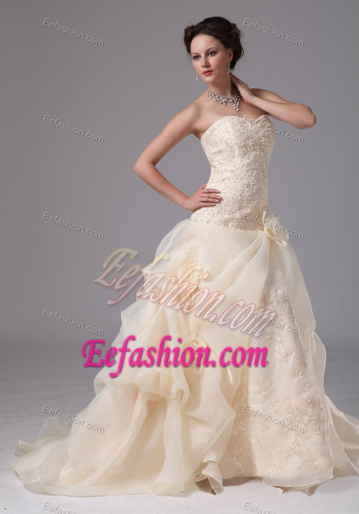 Champagne Sweetheart Embroidery Wedding Dresses with Handle Flowers