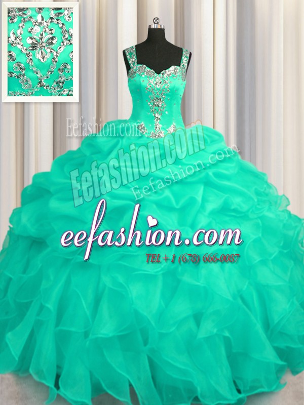Fitting See Through Zipper Up Organza Sleeveless Floor Length Quinceanera Dress and Appliques and Ruffles