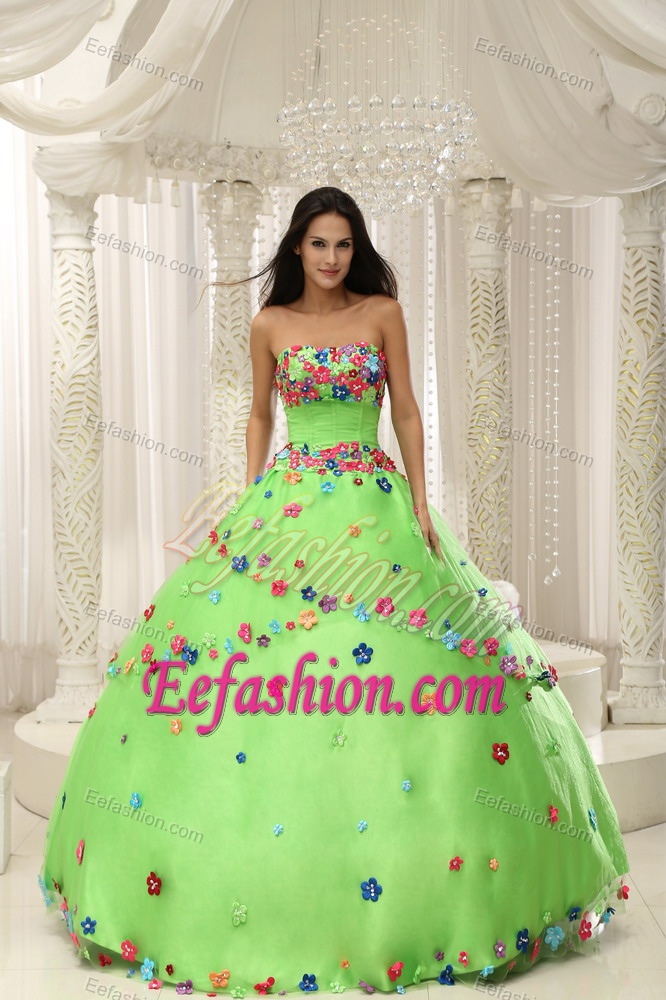 Beautiful Green Quninceanera Gown Dresses with Appliques on Wholesale Price