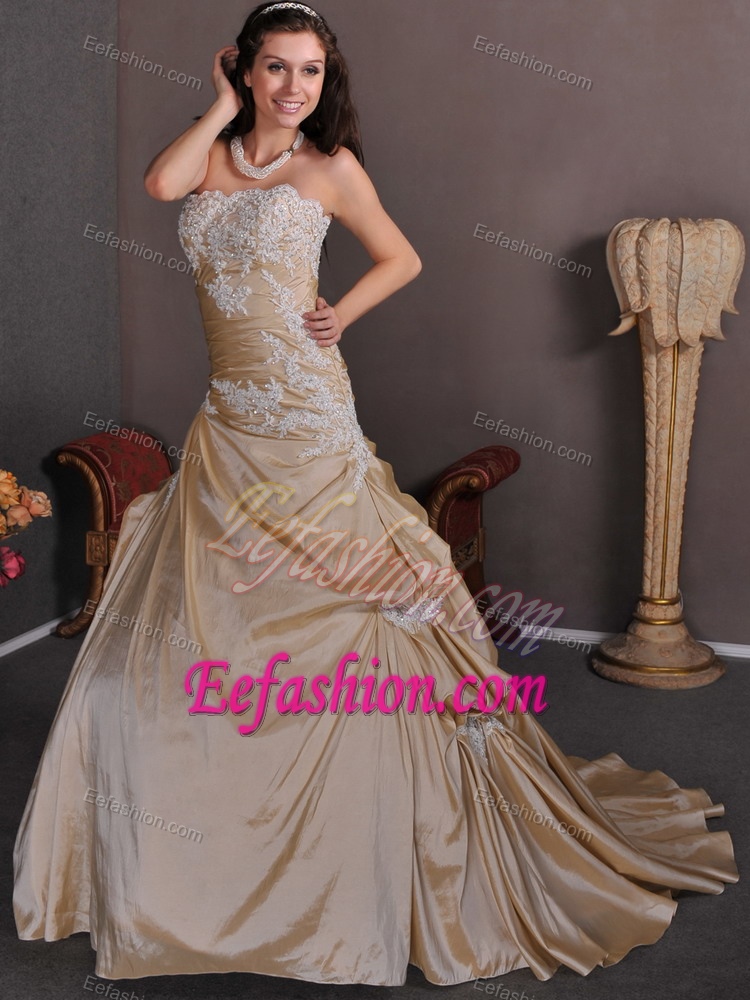 Hot Champagne Chapel Train Wedding Dress with Appliques Decorated