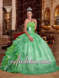 Ball Gown Strapless Green Ruffles Embroidery Beautiful Quinceanera Dresses