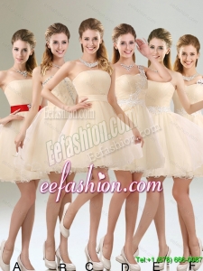 2015 Perfect A Line Organza Dama Dresses with Mini Length