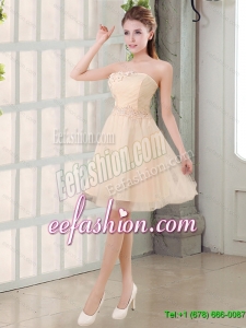 2015 Summer Champagne A Line Strapless Appliques New Arrival Dama Dresses