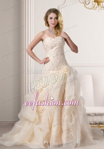A Line Embroidery Sweetheart Brush Train Wedding Dress in Champagne