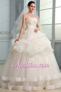 Strapless Ball Gown Appliques and Pick-ups Long Wedding Dress