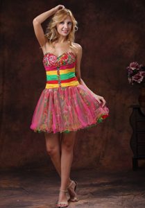 Colorful Sweetheart Mini-length Best Celebrity Dresses in Printing and Organza