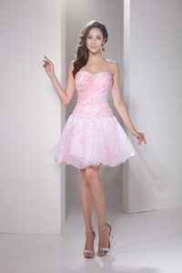 Princess Sweetheart Mini Celebrity Dresses in Baby Pink with Hand Flowers