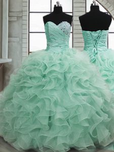 Excellent Organza Sleeveless Floor Length Sweet 16 Dress and Beading and Ruffles