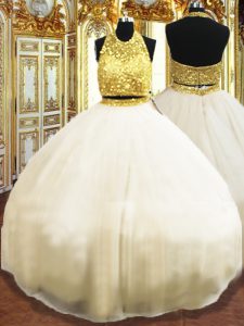 Designer Floor Length Ball Gowns Sleeveless Champagne Sweet 16 Quinceanera Dress Zipper
