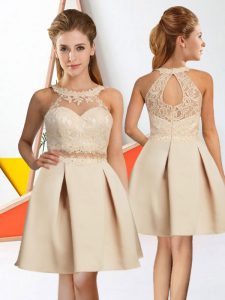 Champagne Sleeveless Lace Knee Length Quinceanera Dama Dress