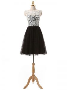 Black Zipper Scoop Lace and Appliques Prom Party Dress Tulle Sleeveless