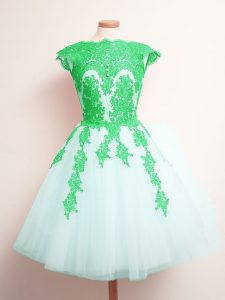 Tulle Sleeveless Mini Length Quinceanera Dama Dress and Appliques