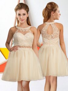 Romantic Halter Top Sleeveless Tulle Dama Dress for Quinceanera Lace Zipper