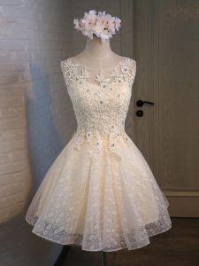 Organza and Lace Sleeveless Mini Length and Lace and Appliques and Belt