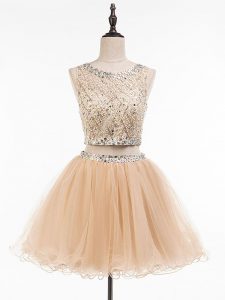 Hot Sale Champagne Scoop Side Zipper Beading Prom Gown Sleeveless