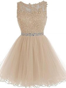 Top Selling Champagne A-line Beading and Lace and Appliques Prom Dress Zipper Tulle Sleeveless Mini Length