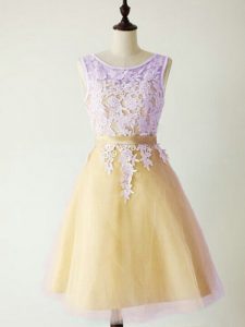 Gold A-line Lace Quinceanera Court of Honor Dress Lace Up Tulle Sleeveless Knee Length