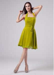 Designer Olive Green Sleeveless Knee Length Ruching Zipper Mother Of The Bride Dress