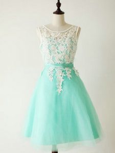 Traditional Tulle Sleeveless Knee Length Quinceanera Court Dresses and Lace