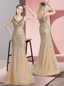 Deluxe Tulle Straps Sleeveless Brush Train Zipper Beading and Sequins Evening Dress in Champagne
