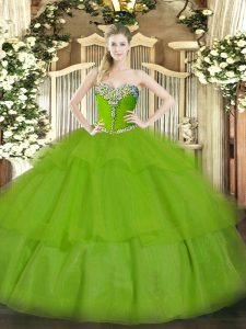 Delicate Floor Length Ball Gowns Sleeveless Ball Gown Prom Dress Lace Up