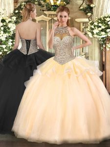 Fashion Sleeveless Lace Up Floor Length Beading Sweet 16 Dress