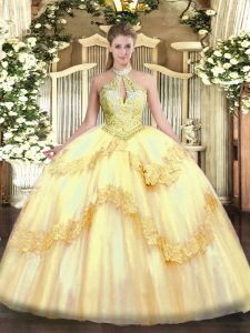 Sleeveless Appliques and Sequins Lace Up Quinceanera Gown