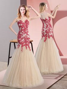 Dazzling Champagne Sleeveless Appliques Floor Length