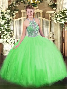 Modest Ball Gowns Quinceanera Gown Halter Top Tulle Sleeveless Floor Length Lace Up