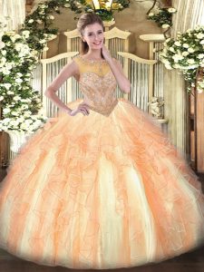 Charming Multi-color Organza Lace Up Sweet 16 Quinceanera Dress Sleeveless Floor Length Beading and Ruffles