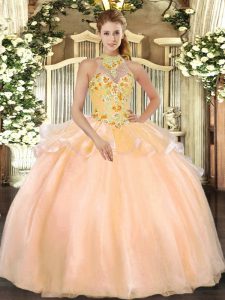 Cute Peach Sleeveless Embroidery Floor Length Quinceanera Gown