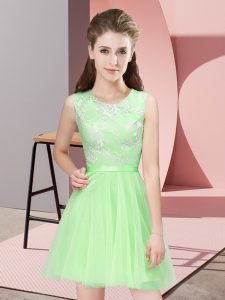 Elegant Tulle Side Zipper Bridesmaid Dress Sleeveless Mini Length Lace