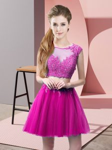 Fancy Fuchsia Sleeveless Mini Length Appliques Zipper Prom Party Dress