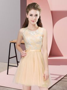 Champagne A-line Lace Bridesmaid Dresses Side Zipper Tulle Sleeveless Mini Length