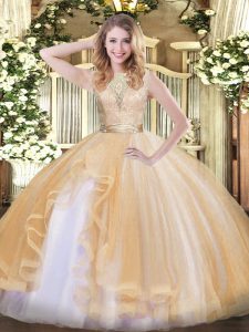 Fine Organza Sleeveless Floor Length 15th Birthday Dress and Lace and Ruffles