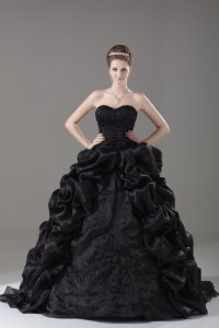Black Sleeveless Embroidery and Pick Ups Lace Up Quinceanera Gowns