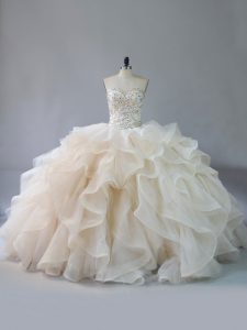 Ball Gowns Sleeveless Champagne Quince Ball Gowns Brush Train Lace Up