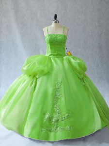 Vintage Organza Lace Up Straps Sleeveless Floor Length Sweet 16 Quinceanera Dress Appliques