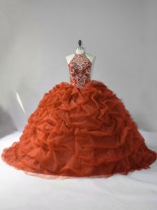 Organza Sleeveless Quinceanera Gowns Court Train and Beading and Pick Ups