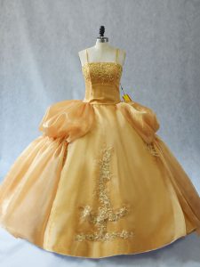 Organza Straps Sleeveless Lace Up Appliques 15 Quinceanera Dress in Gold